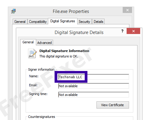 Screenshot of the Techsnab LLC certificate